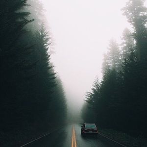 meet your posher, bella!